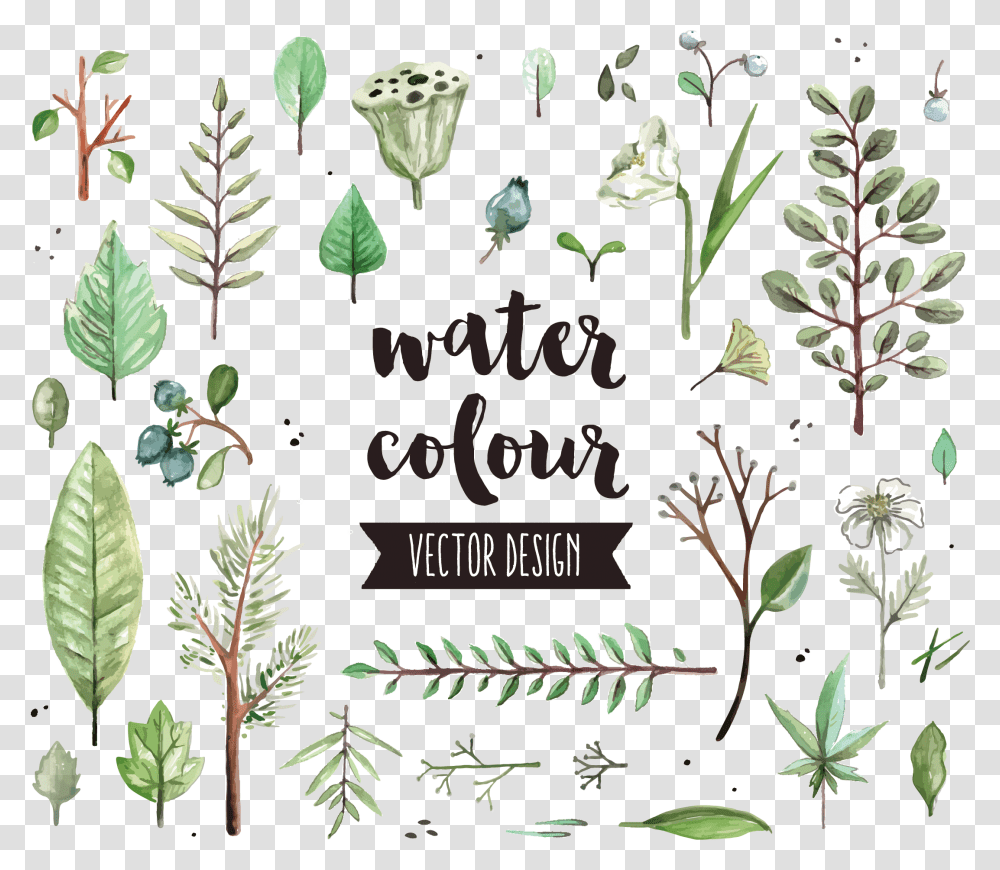Watercolor Painting Icon Diagram Watercolor Herbs Vector Free, Potted Plant, Vase, Jar, Pottery Transparent Png