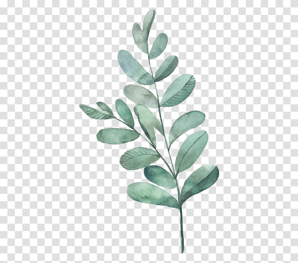 Watercolor Painting Leaf Illustration Leaves Watercolor Green Leaves, Plant, Acanthaceae, Flower, Blossom Transparent Png