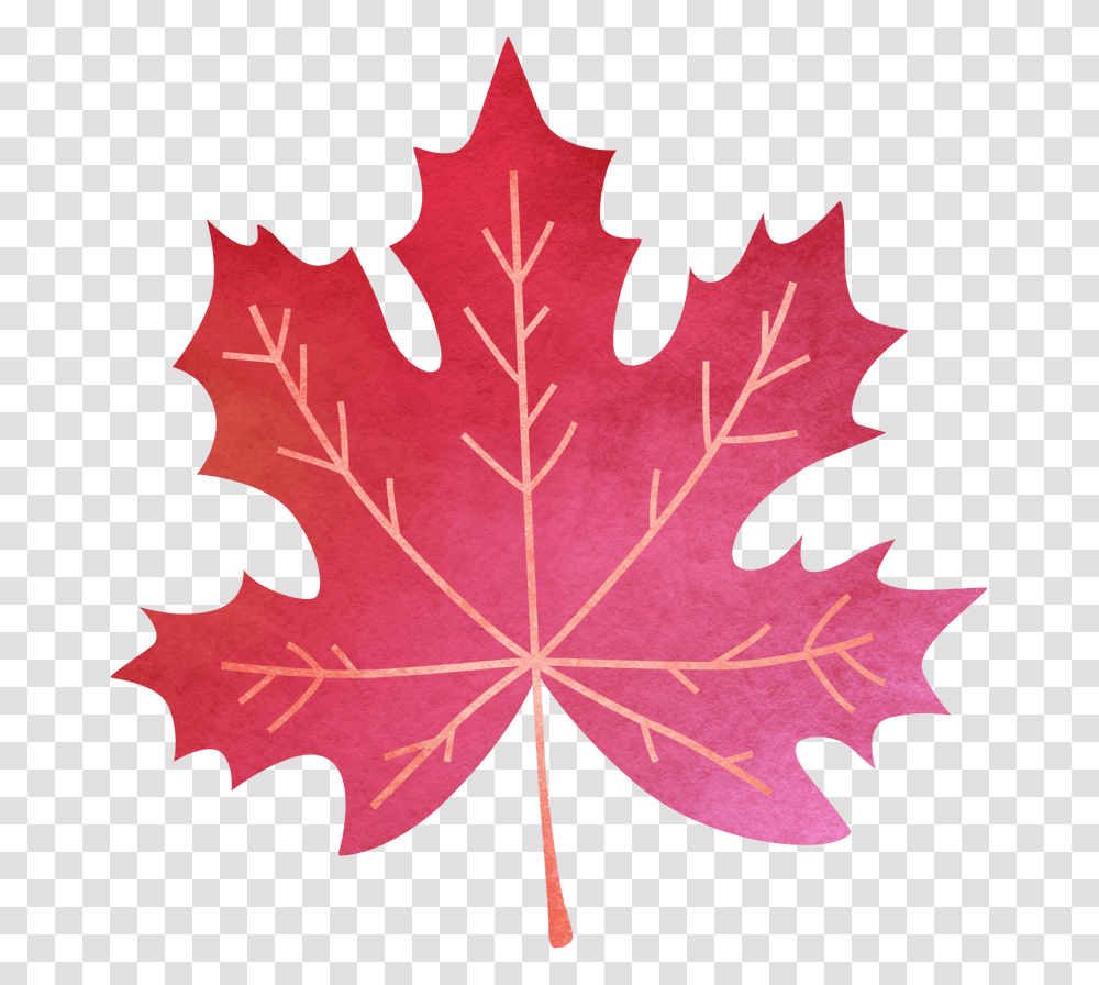 Watercolor Painting, Leaf, Plant, Tree, Maple Transparent Png