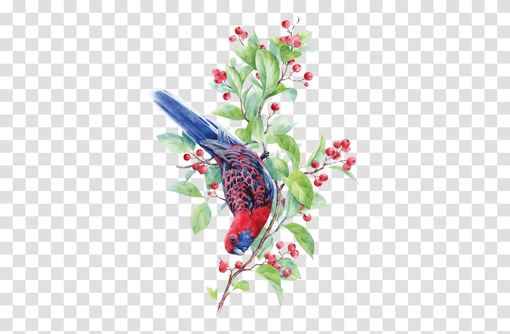 Watercolor Painting, Parrot, Bird, Animal, Macaw Transparent Png