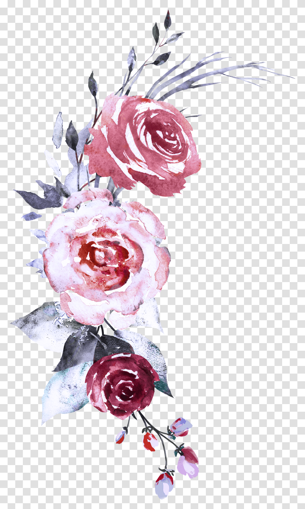 Watercolor Painting, Plant, Rose, Flower, Blossom Transparent Png