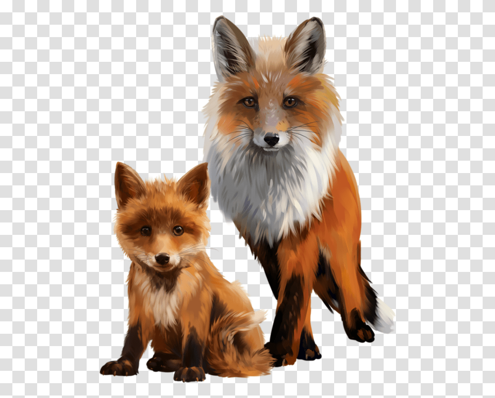 Watercolor Painting, Red Fox, Canine, Wildlife, Mammal Transparent Png