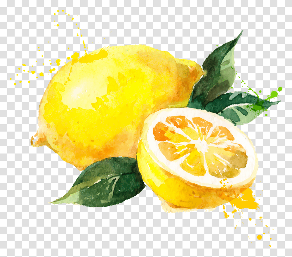 Watercolor Painting Royalty Free Cartoon Lemon, Citrus Fruit, Plant, Food, Grapefruit Transparent Png