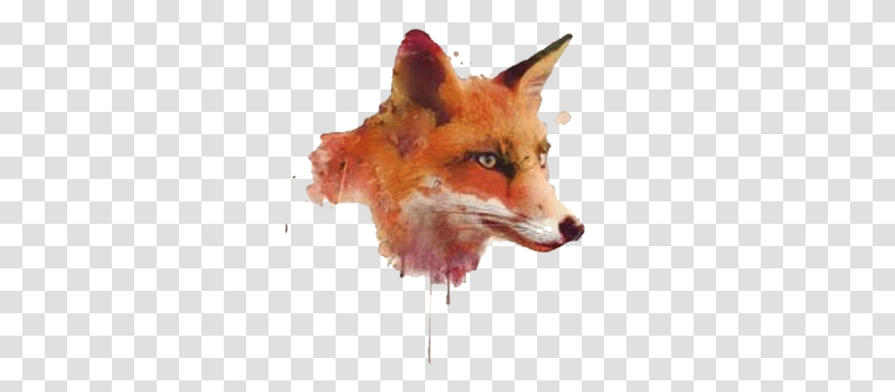 Watercolor Painting Software Clipart Painted Fox, Red Fox, Canine, Wildlife, Mammal Transparent Png