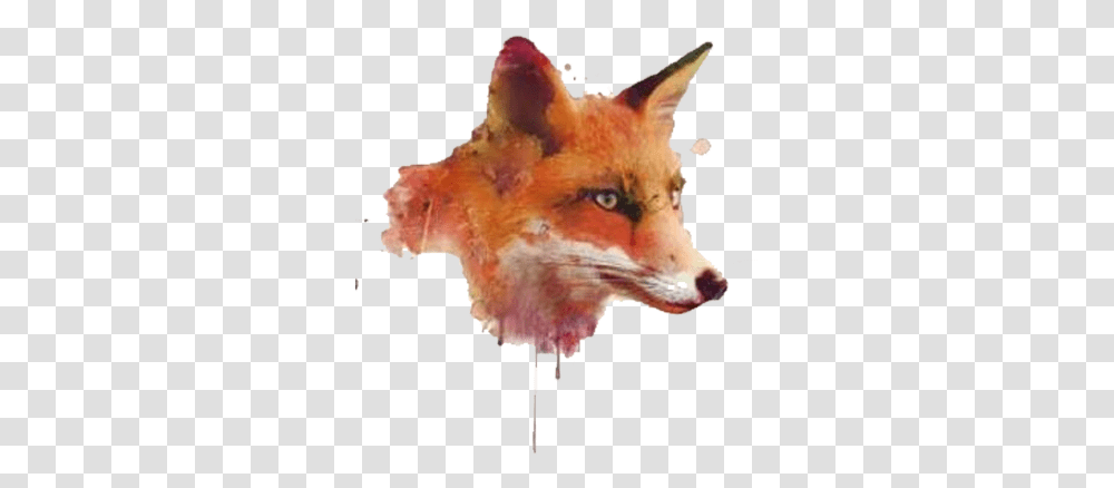 Watercolor Painting Software Fox Head, Red Fox, Canine, Wildlife, Mammal Transparent Png