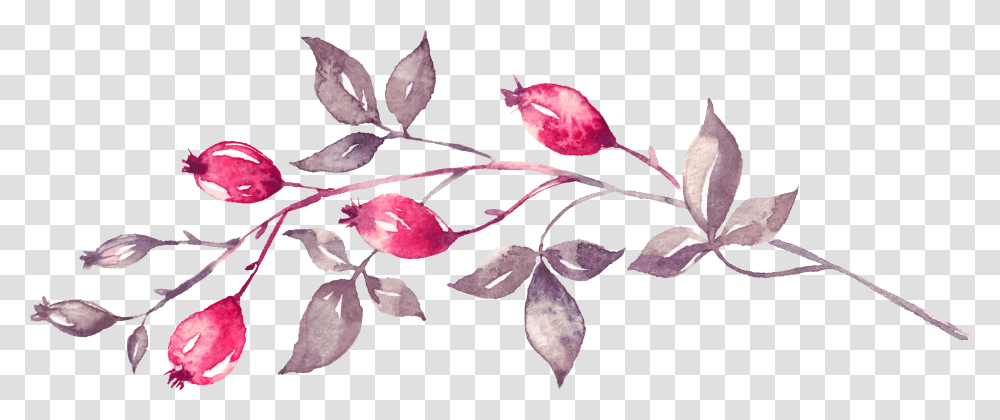 Watercolor Painting Transparent Png