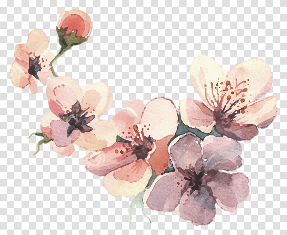 Watercolor Painting Water Color Svg Library Library Flower Water Paint, Plant, Cherry Blossom Transparent Png