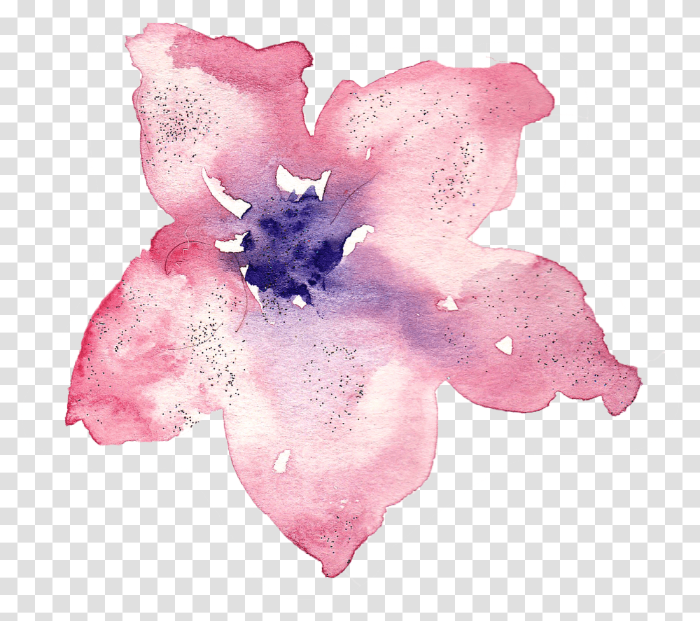 Watercolor Painting Watercolor Paints Background, Leaf, Plant, Petal, Flower Transparent Png