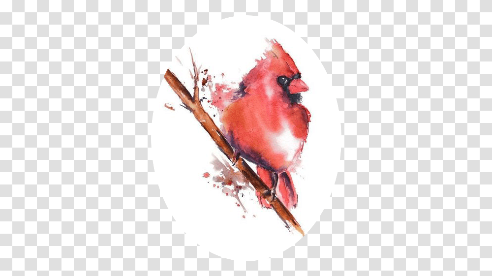 Watercolor Painting Watercolor Red Cardinal Painting, Bird, Animal, Lobster, Seafood Transparent Png