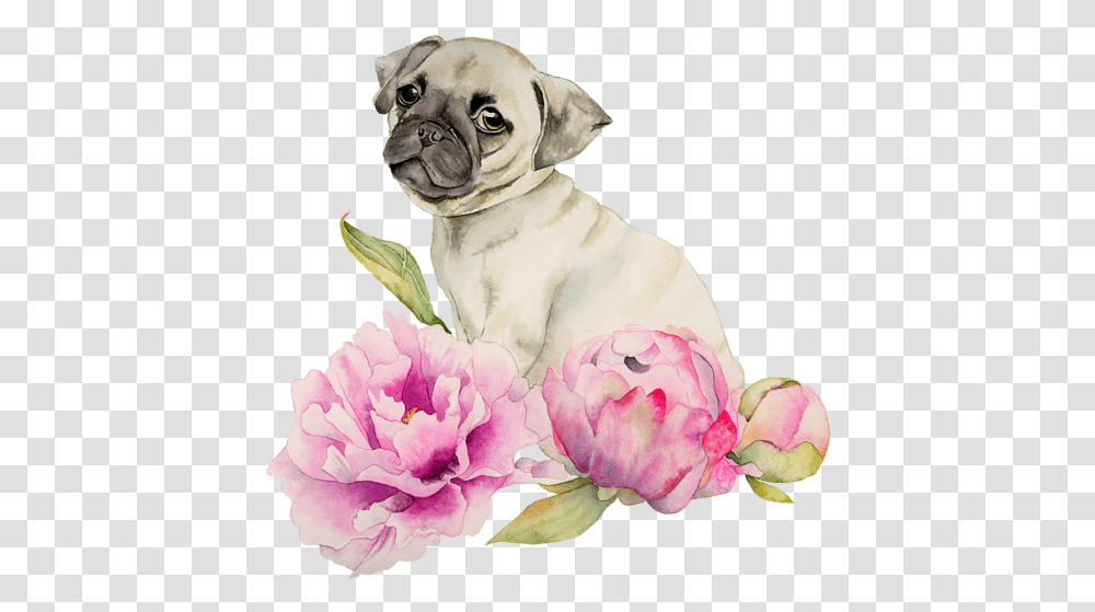 Watercolor Paintings Of Pugs, Pet, Animal, Canine, Mammal Transparent Png