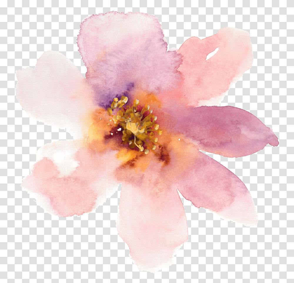 Watercolor Pale Pink Transparent Png