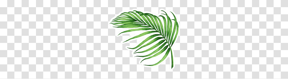 Watercolor Palm Frond Sticker, Plant, Leaf, Logo Transparent Png