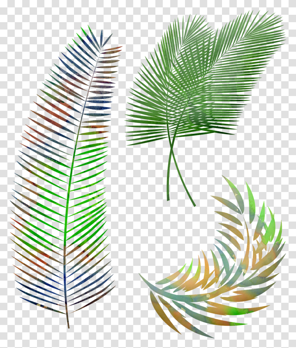 Watercolor Palm Leaves Leaf Gambar Daun Kelapa Hitam Putih, Pattern, Ornament, Fractal, Plant Transparent Png