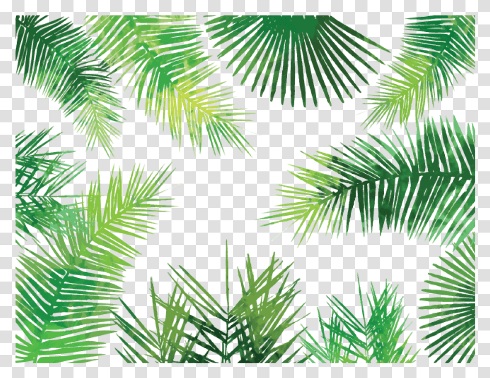Watercolor Palm Leaves Tropical Leaves Background, Tree, Plant, Conifer, Fir Transparent Png