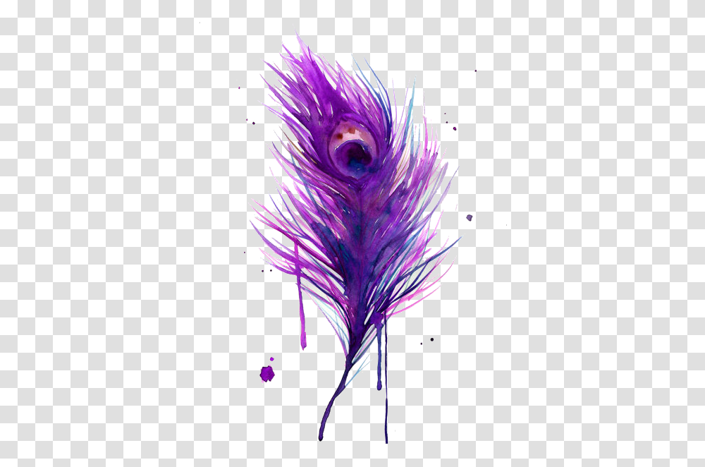 Watercolor Peacock Feather Painting, Purple, Plant, Iris, Flower Transparent Png