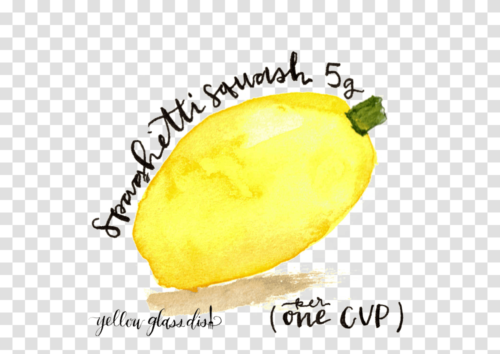 Watercolor Picture Of Spaghetti Squash Copyright Yellowglassdish Meyer Lemon, Tennis Ball, Plant, Citrus Fruit, Food Transparent Png