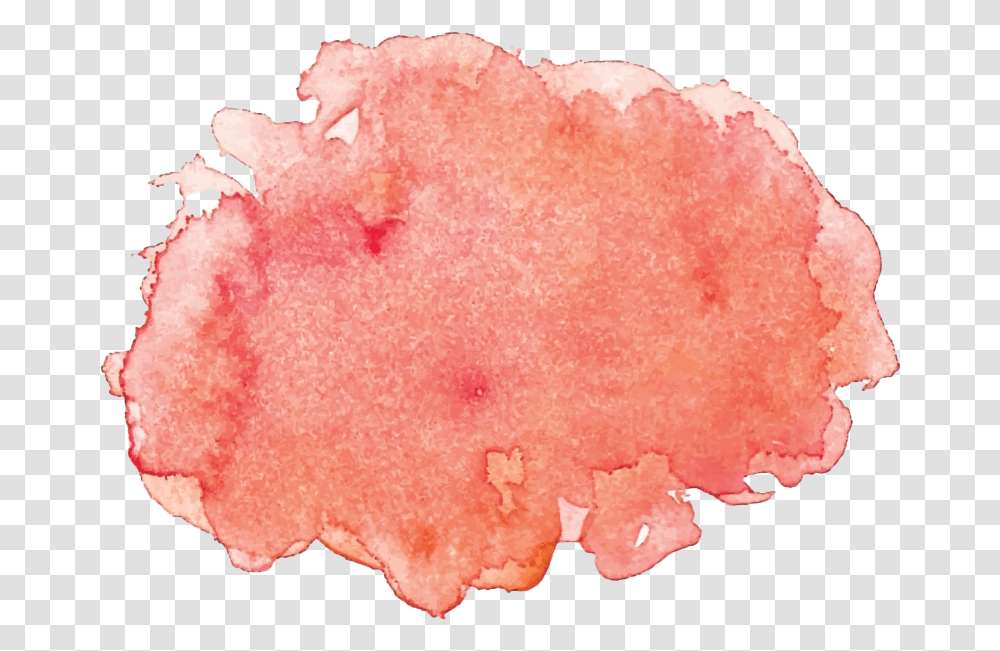 Watercolor Picture Watercolor Banner, Mineral, Fungus, Crystal Transparent Png