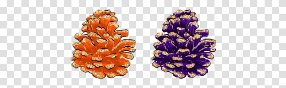 Watercolor Pinecone Pine Cone Purple Orange Artificial Flower, Sea, Outdoors, Nature, Reef Transparent Png