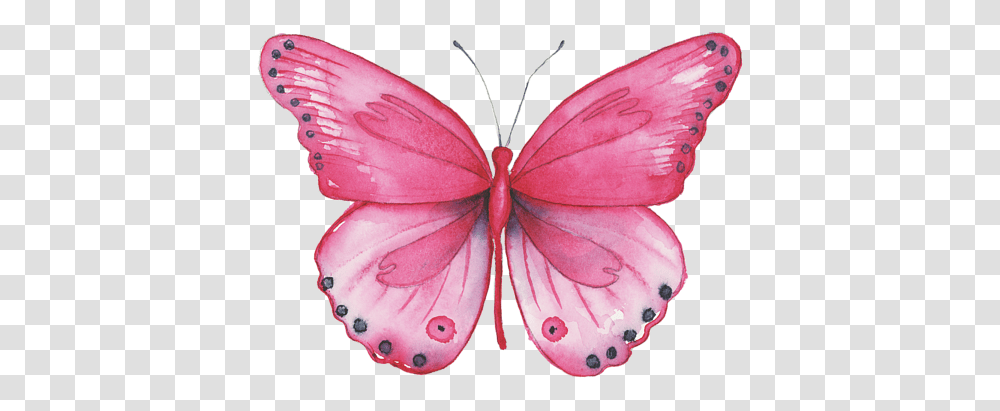 Watercolor Pink Butterfly Painting, Insect, Invertebrate, Animal, Flower Transparent Png