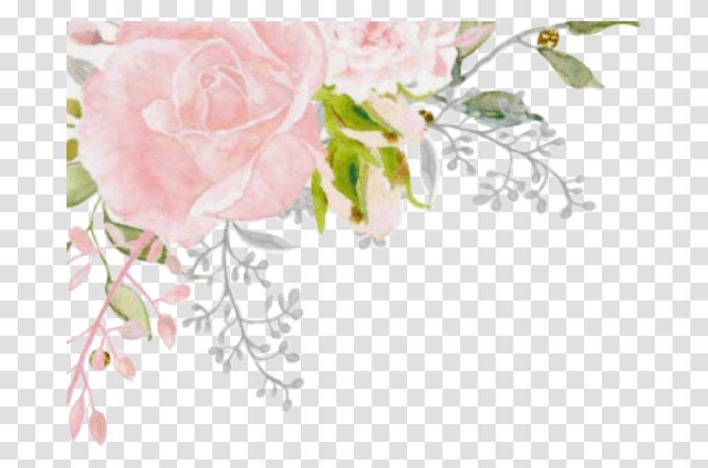 Watercolor Pink Flowers Floral Corner Roses Pastel Garden Roses, Plant, Petal, Floral Design, Pattern Transparent Png