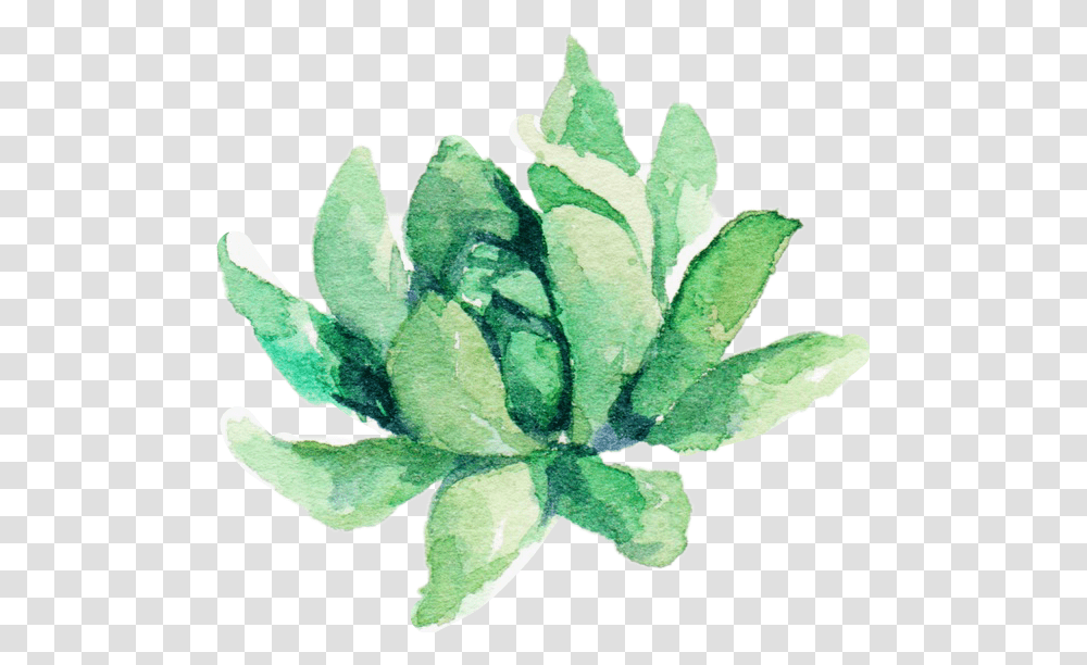 Watercolor Plant Aesthetic Suculent Watercolor Plant, Leaf, Vegetable, Food, Flower Transparent Png