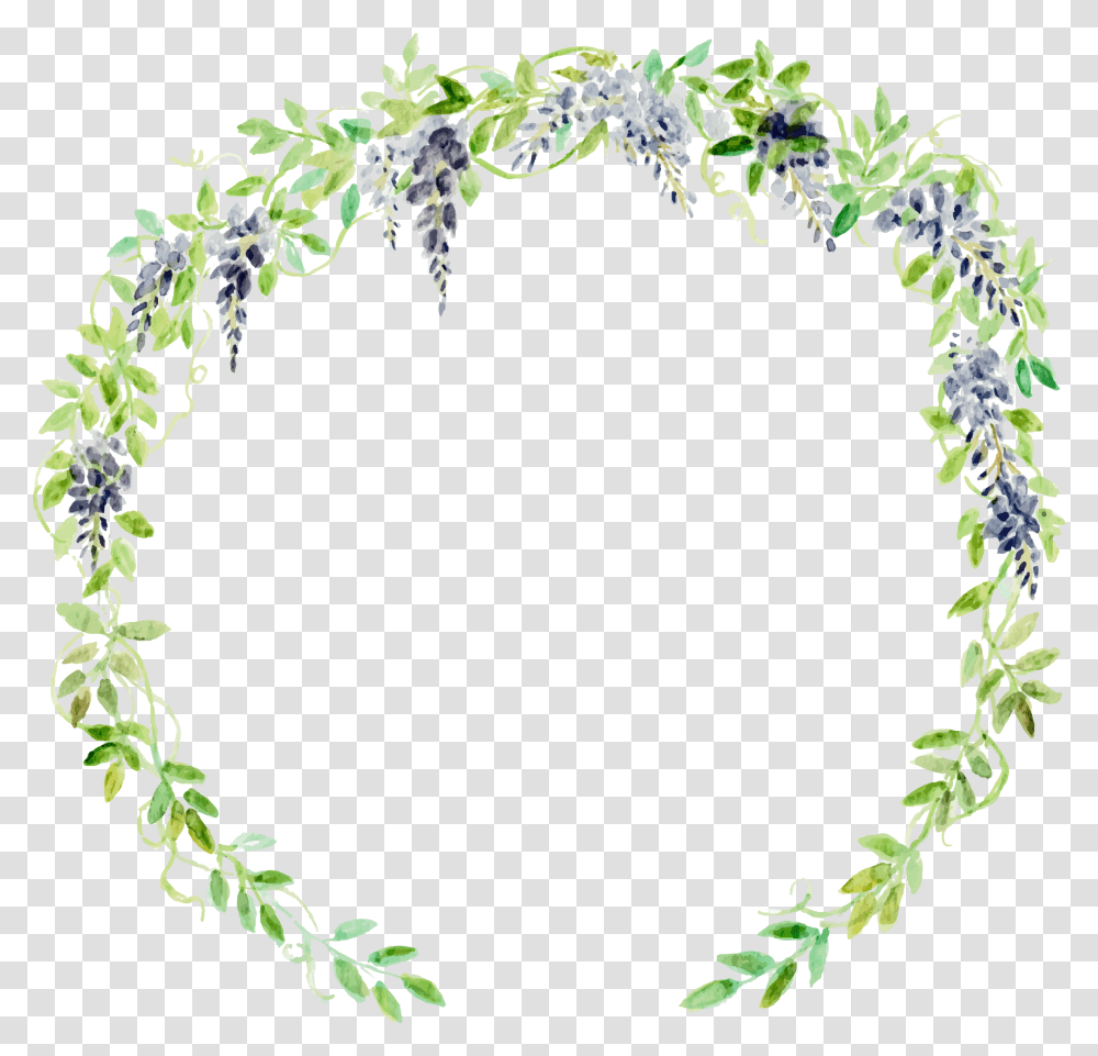 Watercolor Plant, Wreath, Oval, Pattern Transparent Png