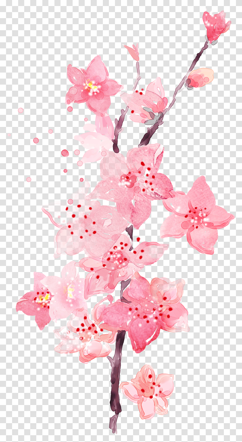 Watercolor Plum Blossom Decorative Watercolor Pink Flower Transparent Png