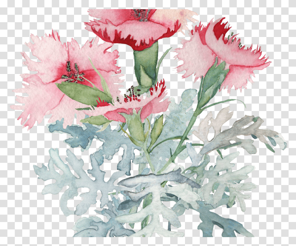 Watercolor Poppy Leaves Google Search Tattoos Flowers Water Color, Plant, Blossom, Carnation, Hibiscus Transparent Png