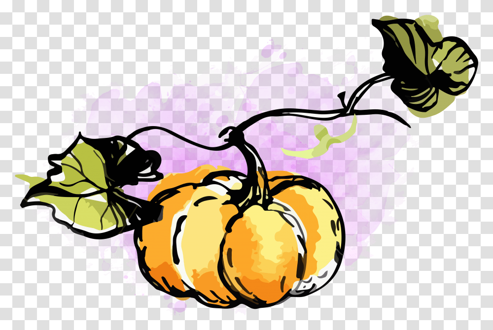 Watercolor Pumpkin Clipart Free Watercolor Fall Clipart Watercolor Fall Clipart Free, Plant, Fruit, Food, Produce Transparent Png