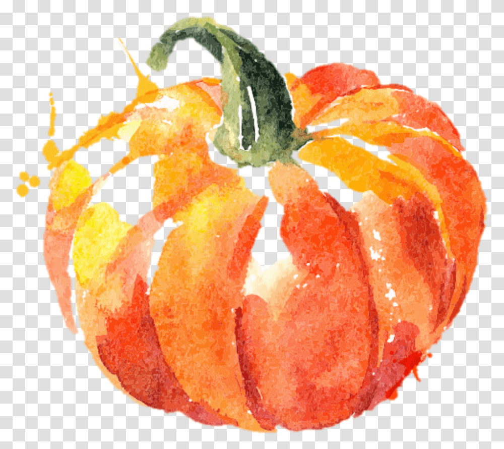 Watercolor Pumpkin, Plant, Food, Vegetable, Animal Transparent Png