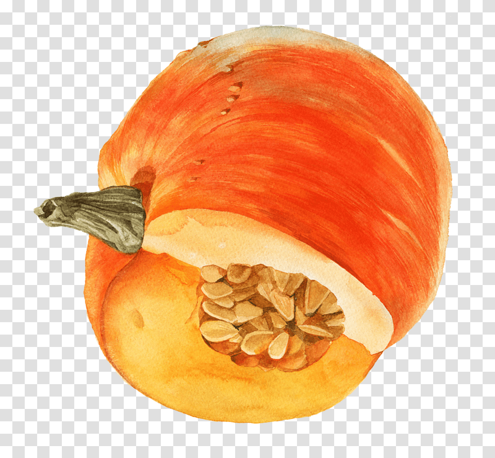 Watercolor Pumpkin Pumpkin, Plant, Fungus, Vegetable, Food Transparent Png