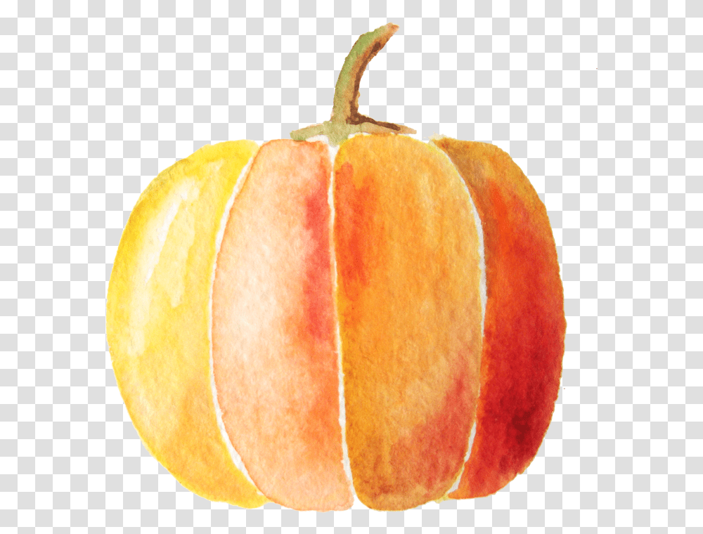 Watercolor Pumpkins Pumpkin Watercolor Clip Art Pumpkin Watercolor, Plant, Fruit, Food, Produce Transparent Png