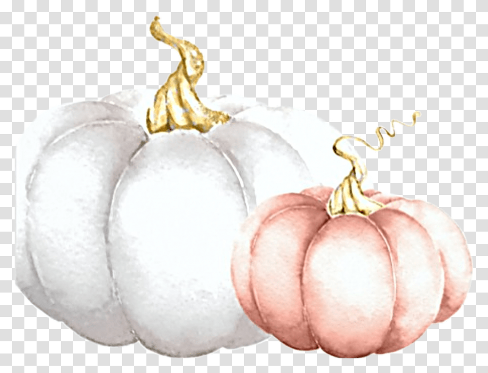 Watercolor Pumpkins White Pink Fall Autumn Harvest Pumpkin, Plant, Vegetable, Food, Produce Transparent Png