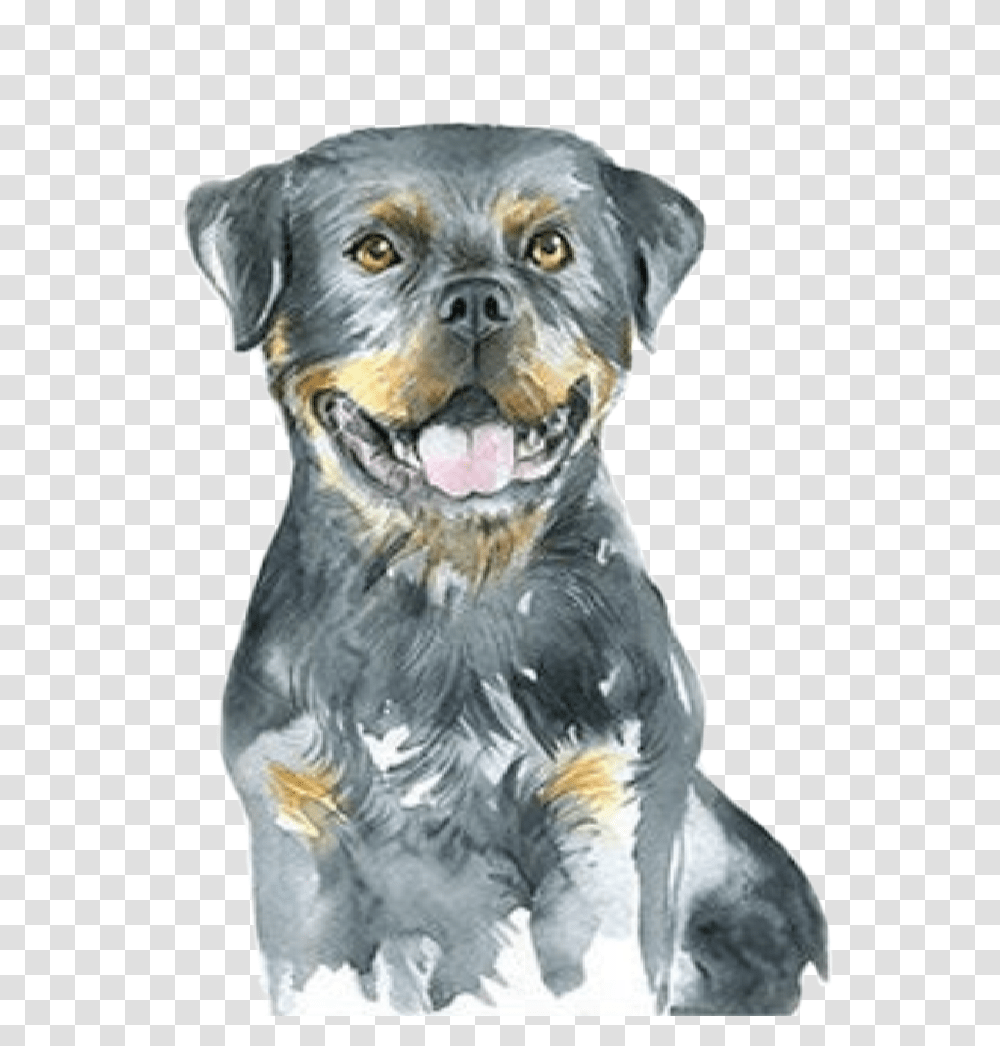 Watercolor Puppy Dog Rottweiler Babyanimals Farmanimals, Snout, Pet, Canine, Mammal Transparent Png