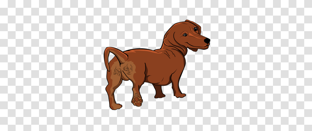 Watercolor Puppy Images Vectors And Free, Animal, Mammal, Pet, Outdoors Transparent Png
