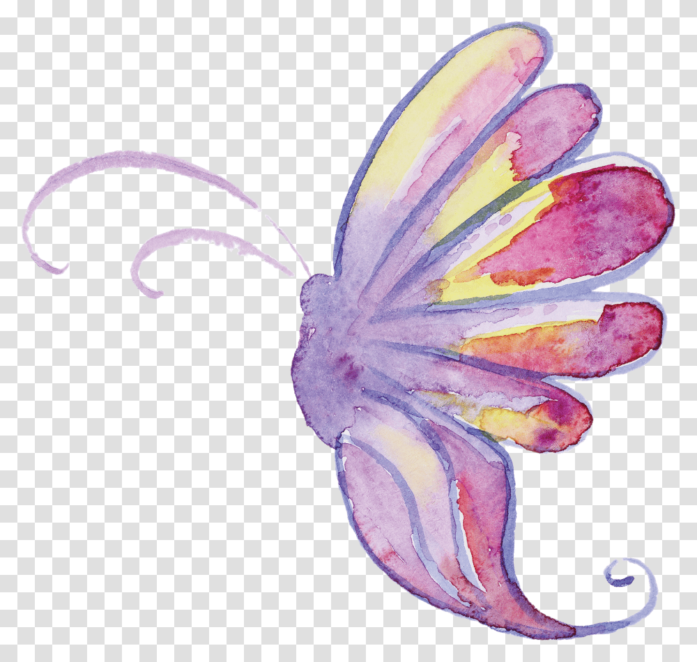 Watercolor Purple Butterfly, Plant, Flower, Blossom, Sea Life Transparent Png