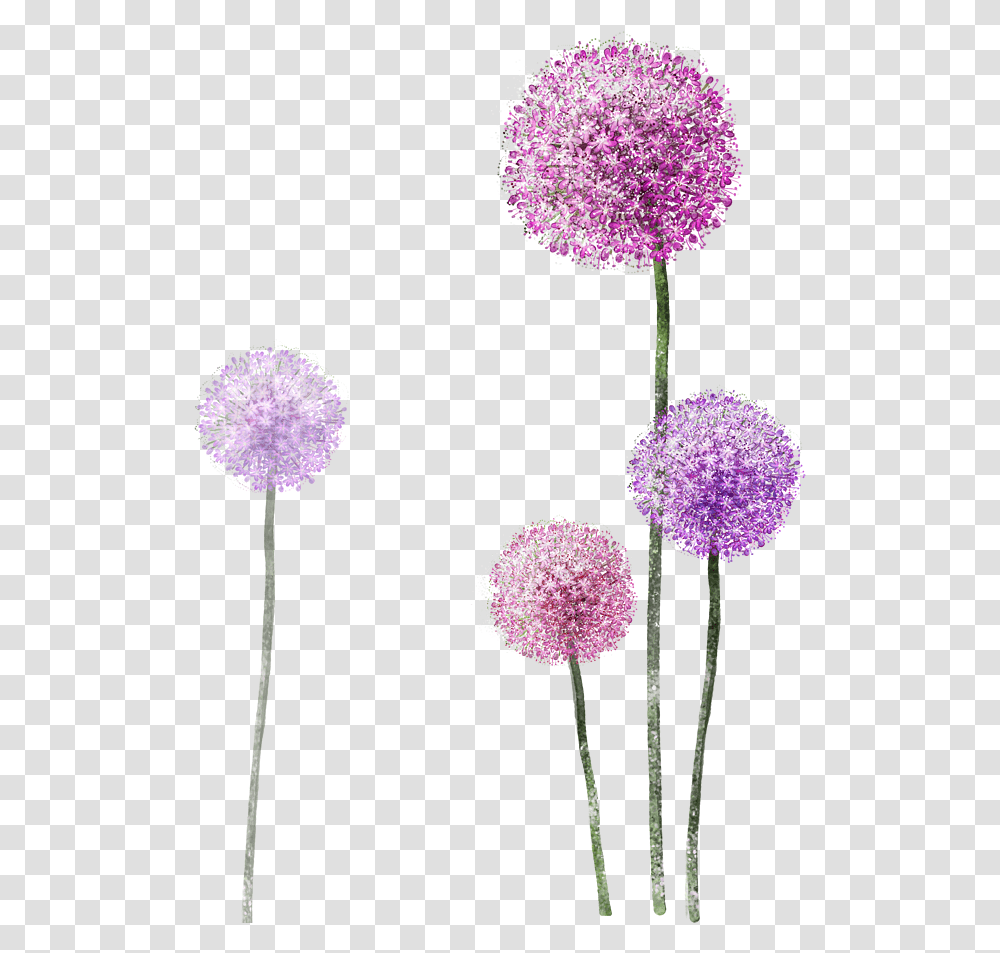 Watercolor Purple Flower Painting Dandelion Free Frame Dandelion, Plant, Blossom, Allium, Dahlia Transparent Png
