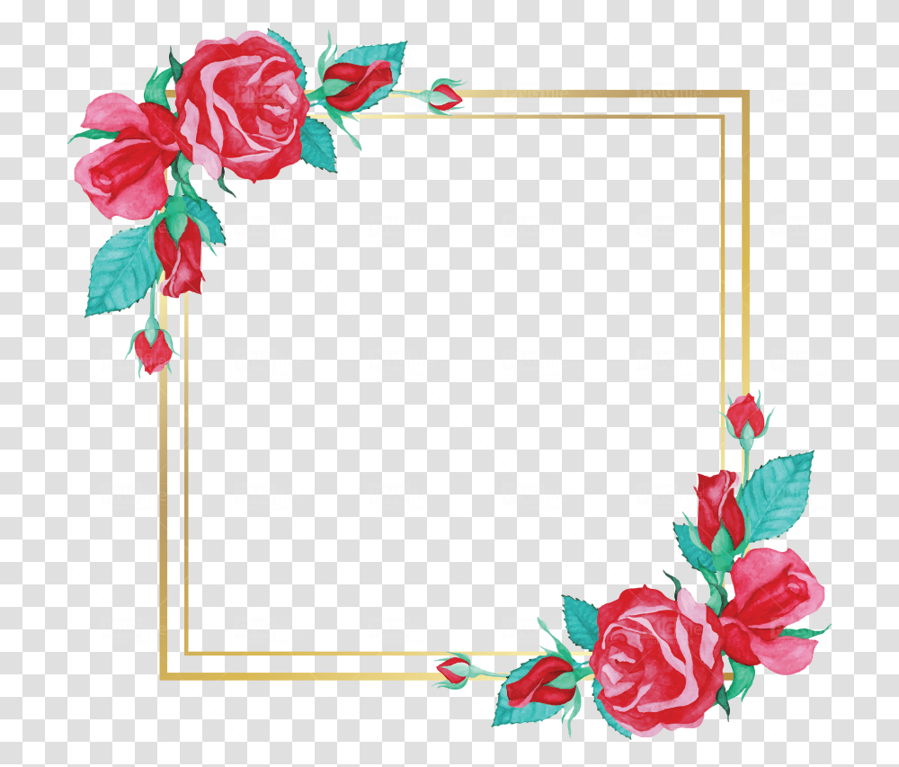 Watercolor Rose Flower Frame Design Floral, Graphics, Art, Text, Plant Transparent Png