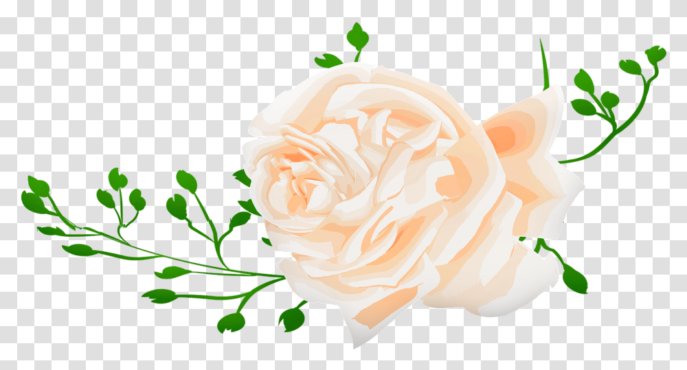 Watercolor Rose Roses Pink Floribunda, Plant, Flower, Blossom, Petal Transparent Png