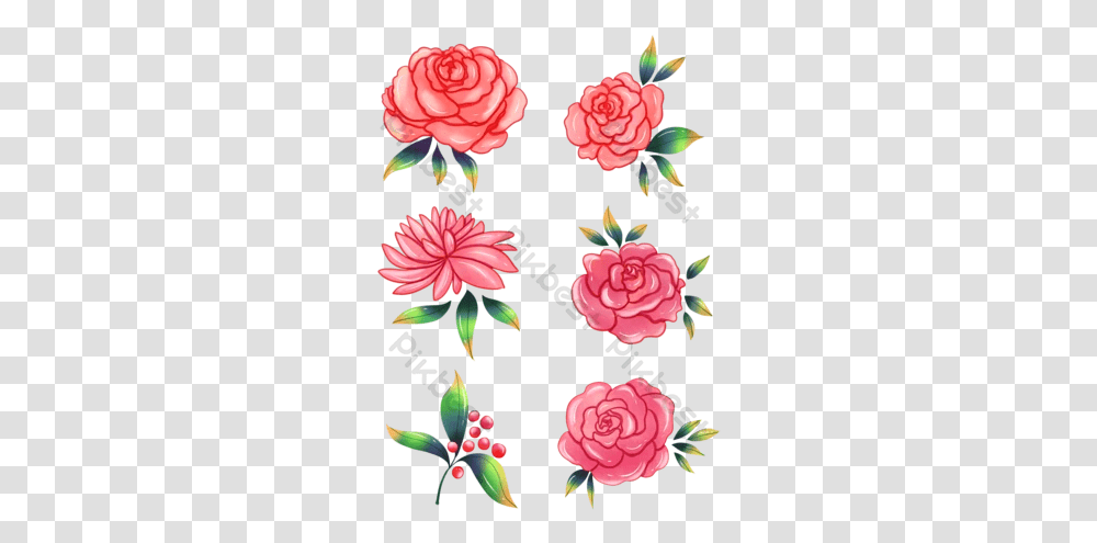 Watercolor Rose Templates Decorative, Plant, Flower, Blossom, Dahlia Transparent Png