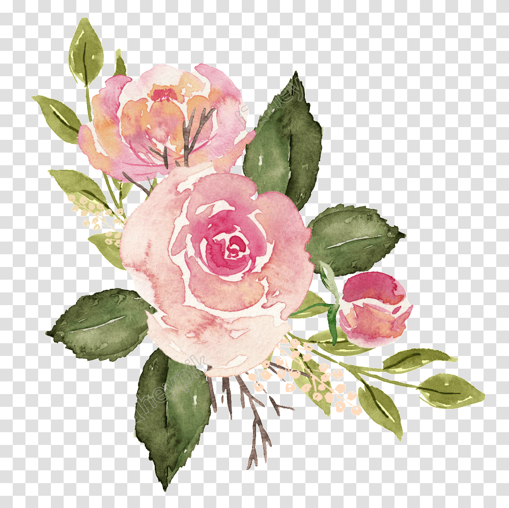 Watercolor Roses Free Matting Full Size Download Pink Watercolor Flowers, Plant, Blossom, Peony, Flower Bouquet Transparent Png