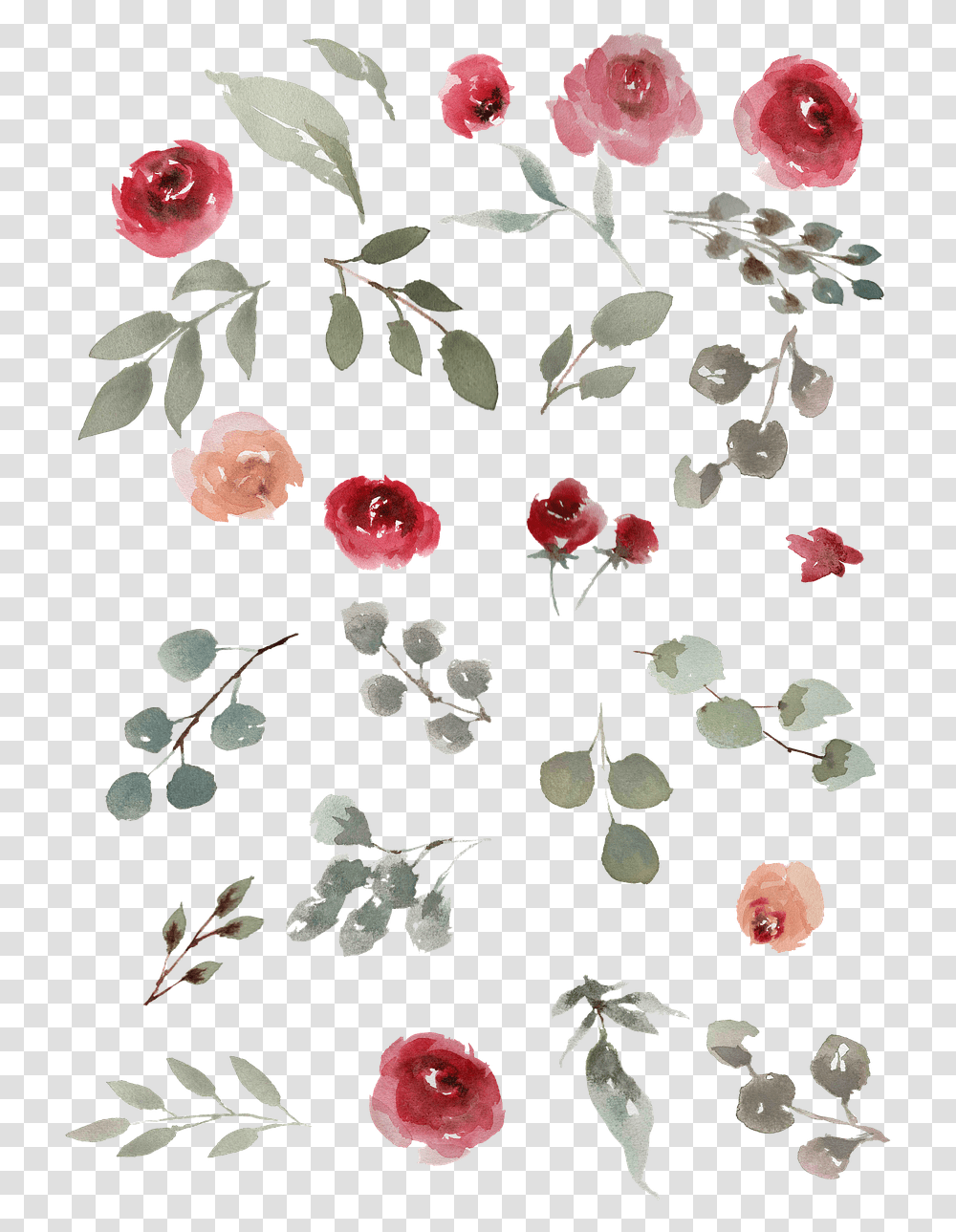Watercolor Roses Green Tiny Water Color Flowers, Plant, Petal, Fruit, Food Transparent Png