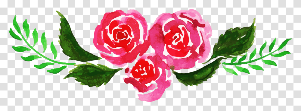 Watercolor Roses, Plant, Flower Transparent Png