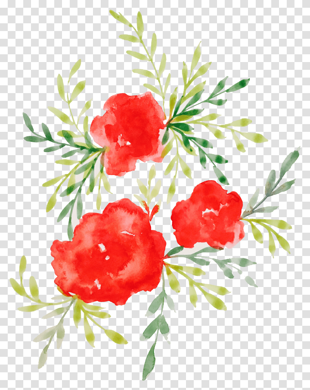 Watercolor Roses Transparent Png