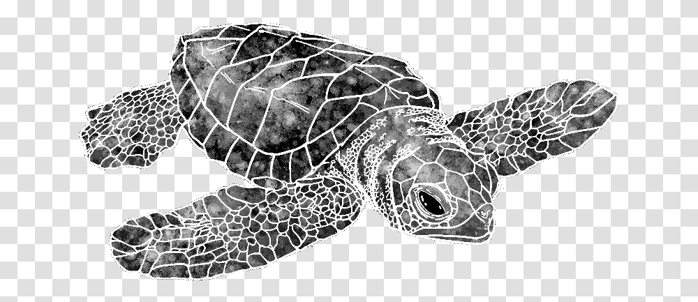 Watercolor Sea Turtle Colorful Drawing Sea Turtle Full Sea Turtle Drawing, Reptile, Sea Life, Animal, Tortoise Transparent Png