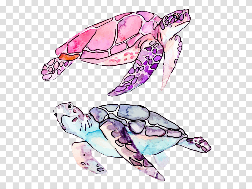 Watercolor Sea Turtle, Sea Life, Animal, Tortoise, Person Transparent Png
