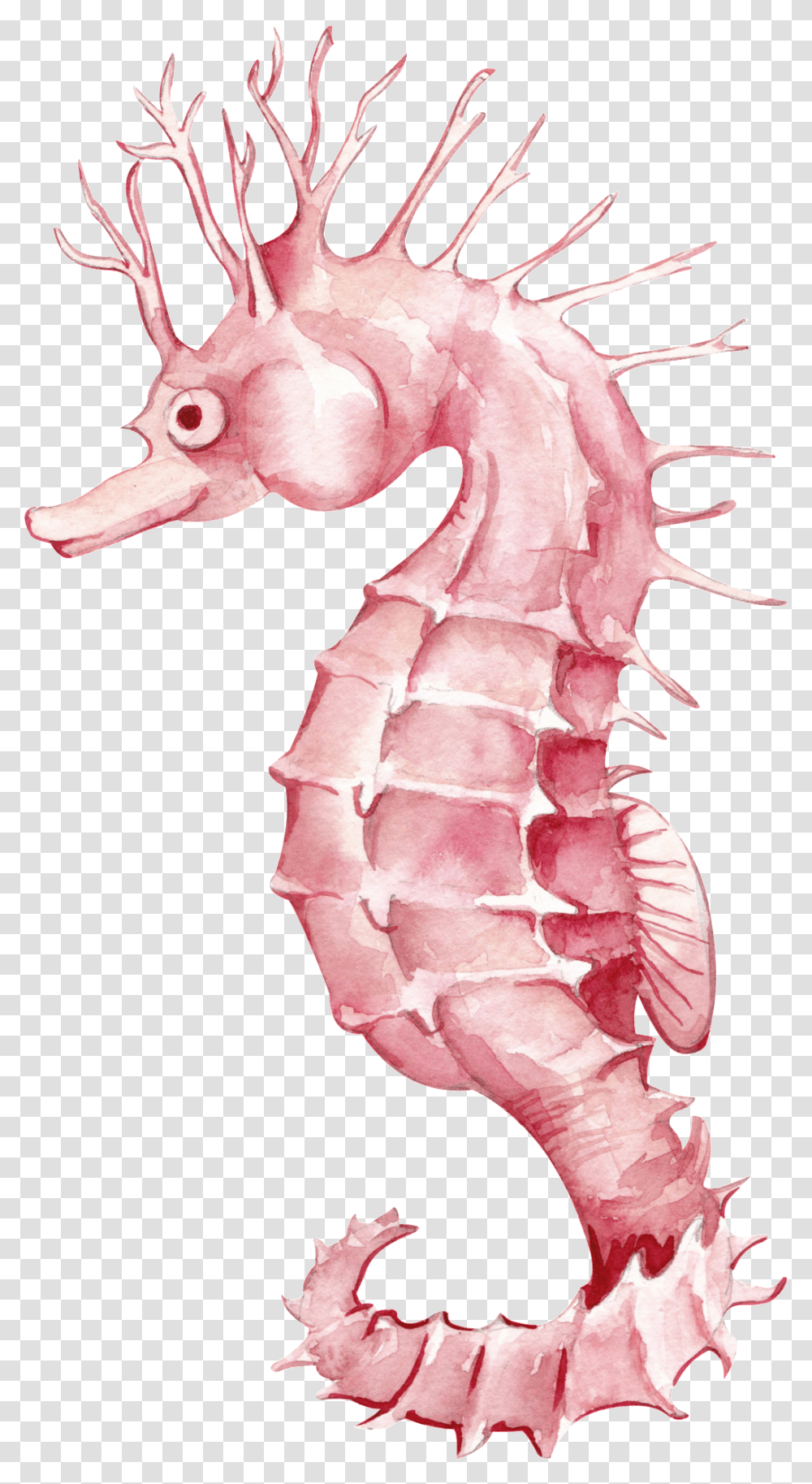 Watercolor Seahorse Cartoon Portable Network Graphics, Mammal, Animal, Sea Life Transparent Png