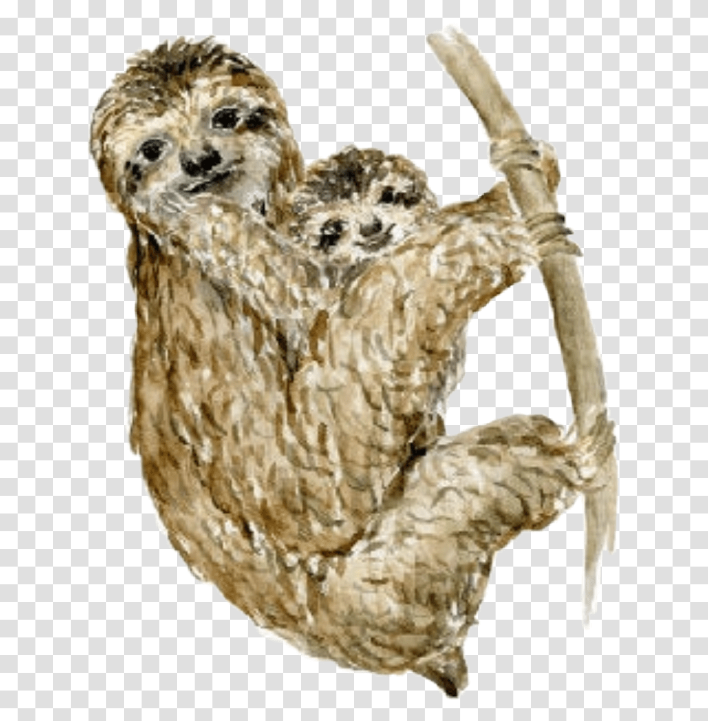 Watercolor Sloths Sloth Baby Babyanimals Mother Three Toed Sloth, Fungus, Owl, Bird, Mammal Transparent Png