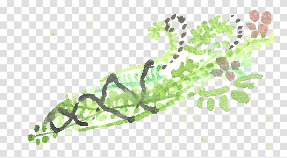 Watercolor Smudge Wand Sea Lettuce, Plant, Cucumber, Vegetable, Food Transparent Png