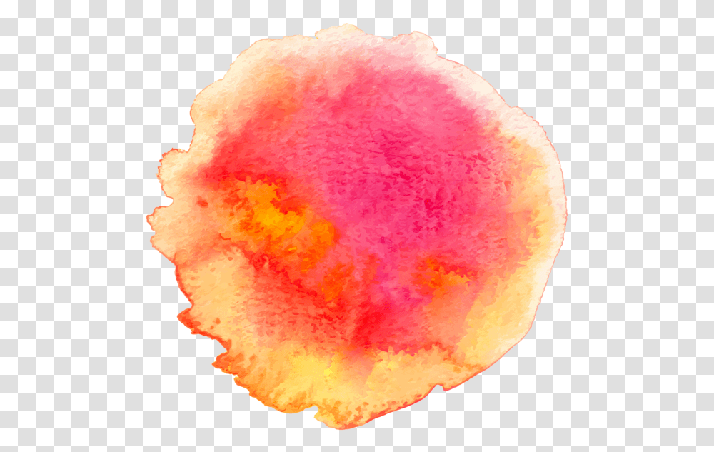 Watercolor Splash Of Paint, Mineral, Fungus, Petal, Flower Transparent Png